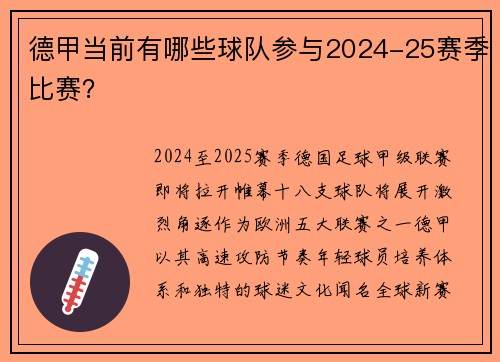 德甲当前有哪些球队参与2024-25赛季比赛？